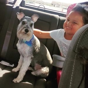 Meet your Posher, Johnny